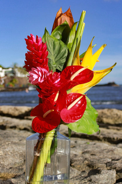 Tropical Flowers & Chocolate Macadamia Delights