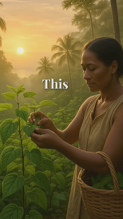 Mamaki:  Hawaiian Wellness Tea